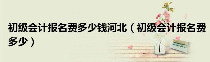 初级会计报名费多少钱河北（初级会计报名费多少）