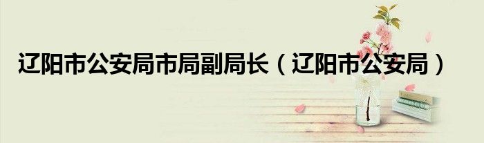 辽阳市公安局市局副局长（辽阳市公安局）