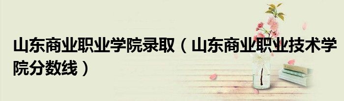 山东商业职业学院录取（山东商业职业技术学院分数线）