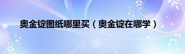 奥金锭图纸哪里买（奥金锭在哪学）