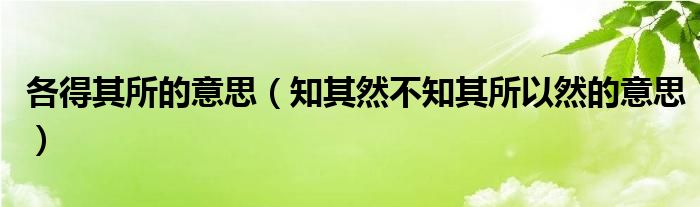 各得其所的意思（知其然不知其所以然的意思）