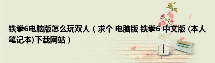 铁拳6电脑版怎么玩双人（求个 电脑版 铁拳6 中文版 (本人笔记本)下载网站）