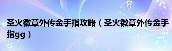 圣火徽章外传金手指攻略（圣火徽章外传金手指gg）
