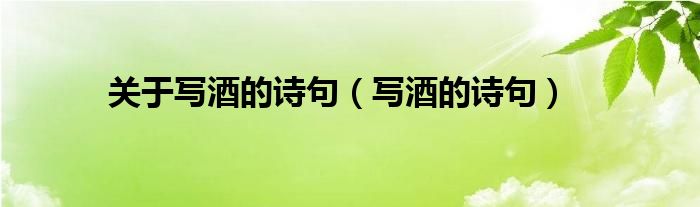 关于写酒的诗句（写酒的诗句）