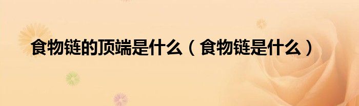 食物链的顶端是什么（食物链是什么）