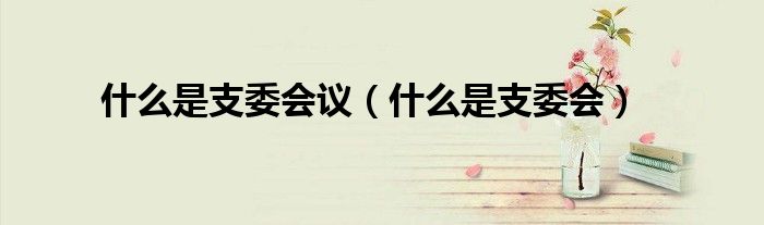什么是支委会议（什么是支委会）