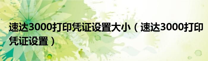 速达3000打印凭证设置大小（速达3000打印凭证设置）