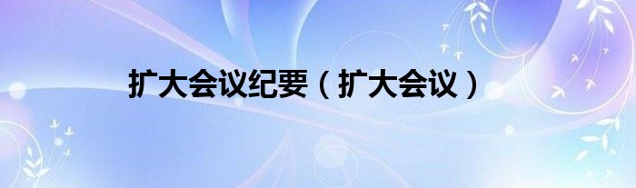 扩大会议纪要（扩大会议）