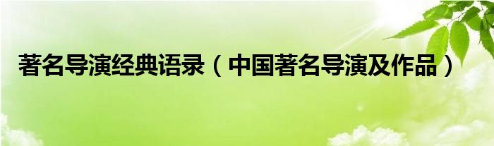 著名导演经典语录（中国著名导演及作品）
