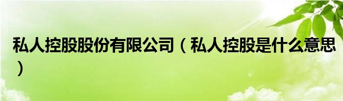 私人控股股份有限公司（私人控股是什么意思）