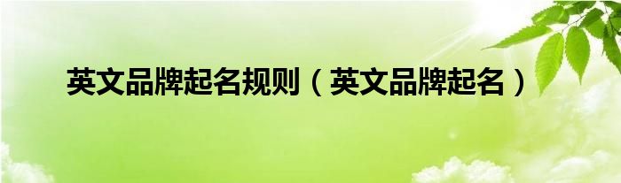 英文品牌起名规则（英文品牌起名）