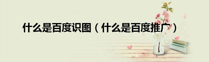 什么是百度识图（什么是百度推广）