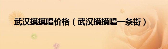 武汉摸摸唱价格（武汉摸摸唱一条街）