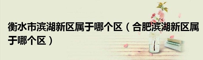 衡水市滨湖新区属于哪个区（合肥滨湖新区属于哪个区）