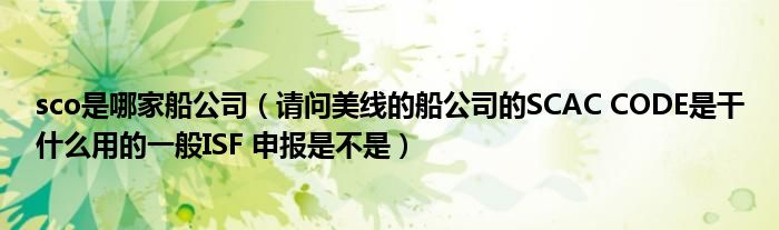sco是哪家船公司（请问美线的船公司的SCAC CODE是干什么用的一般ISF 申报是不是）