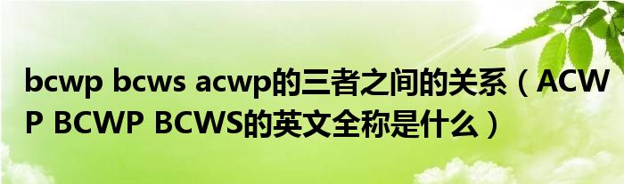 bcwp bcws acwp的三者之间的关系（ACWP BCWP BCWS的英文全称是什么）