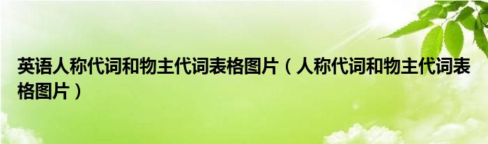 英语人称代词和物主代词表格图片（人称代词和物主代词表格图片）