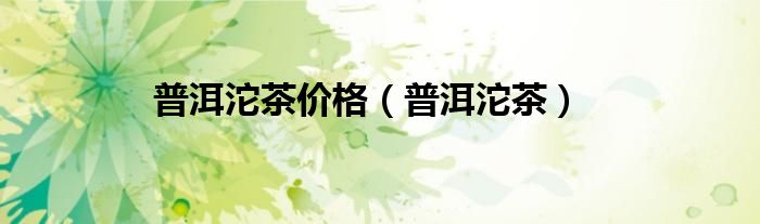 普洱沱茶价格（普洱沱茶）