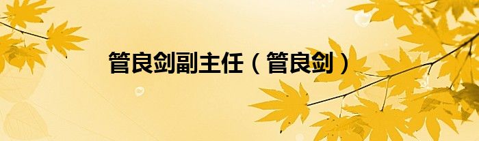 管良剑副主任（管良剑）