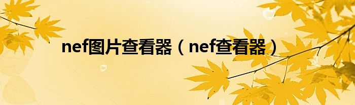 nef图片查看器（nef查看器）