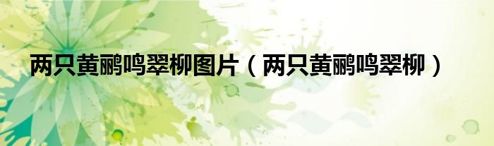 两只黄鹂鸣翠柳图片（两只黄鹂鸣翠柳）