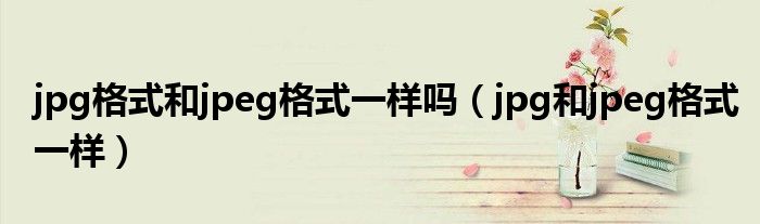 jpg格式和jpeg格式一样吗（jpg和jpeg格式一样）