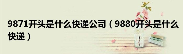 9871开头是什么快递公司（9880开头是什么快递）
