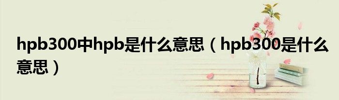hpb300中hpb是什么意思（hpb300是什么意思）