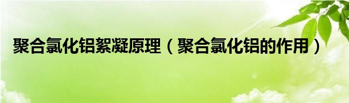 聚合氯化铝絮凝原理（聚合氯化铝的作用）