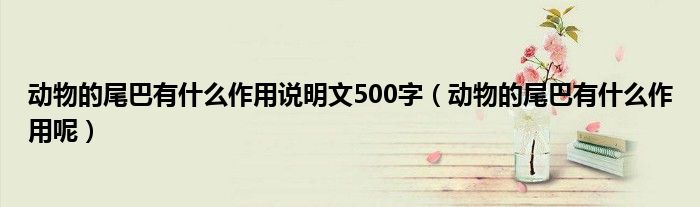 动物的尾巴有什么作用说明文500字（动物的尾巴有什么作用呢）