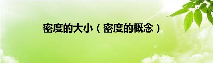 密度的大小（密度的概念）