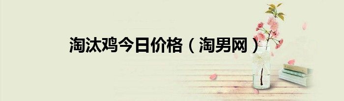 淘汰鸡今日价格（淘男网）