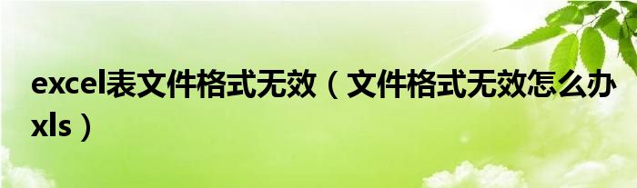 excel表文件格式无效（文件格式无效怎么办xls）