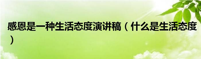 感恩是一种生活态度演讲稿（什么是生活态度）