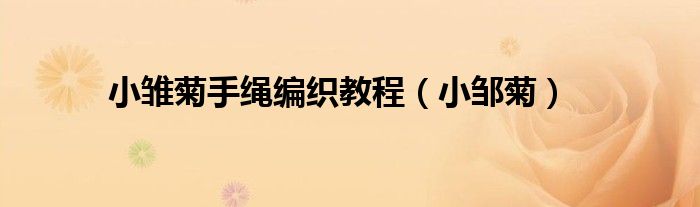 小雏菊手绳编织教程（小邹菊）