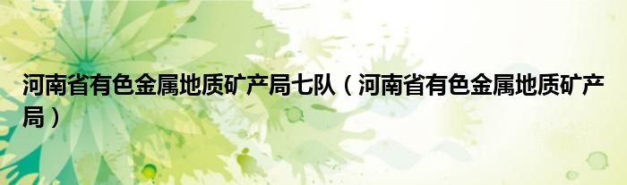 河南省有色金属地质矿产局七队（河南省有色金属地质矿产局）