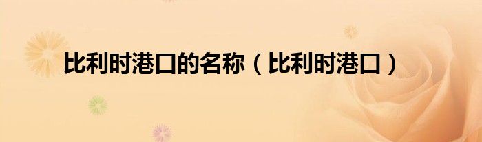 比利时港口的名称（比利时港口）