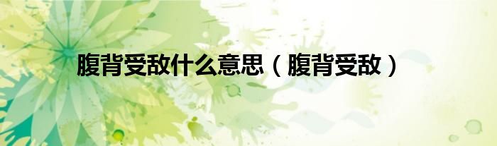 腹背受敌什么意思（腹背受敌）