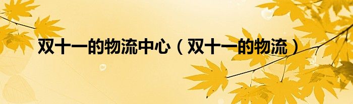 双十一的物流中心（双十一的物流）