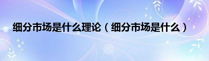 细分市场是什么理论（细分市场是什么）