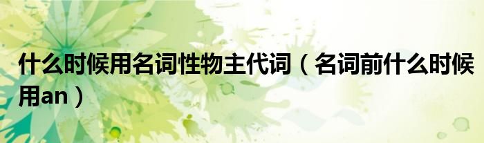 什么时候用名词性物主代词（名词前什么时候用an）