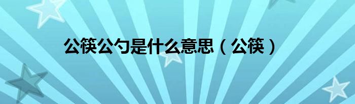 公筷公勺是什么意思（公筷）