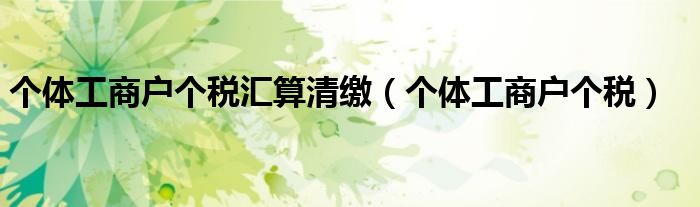 个体工商户个税汇算清缴（个体工商户个税）