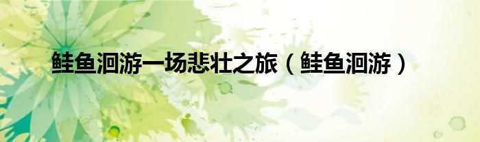 鲑鱼洄游一场悲壮之旅（鲑鱼洄游）