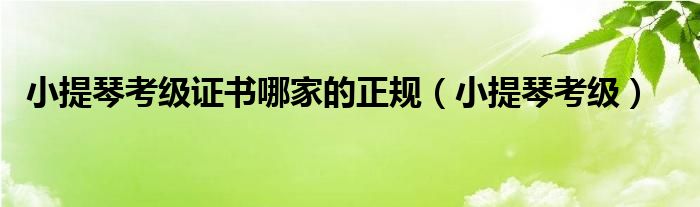 小提琴考级证书哪家的正规（小提琴考级）