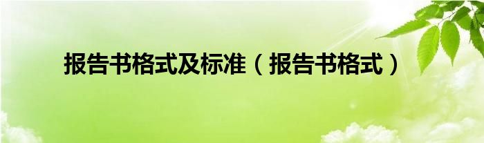 报告书格式及标准（报告书格式）