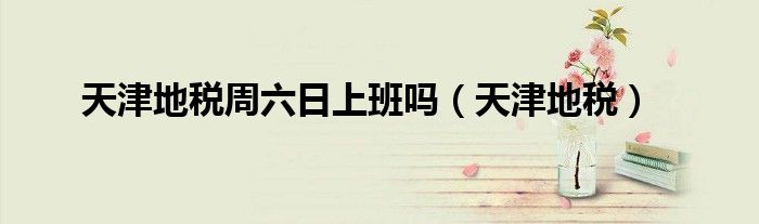 天津地税周六日上班吗（天津地税）