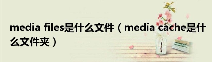 media files是什么文件（media cache是什么文件夹）