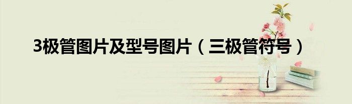 3极管图片及型号图片（三极管符号）