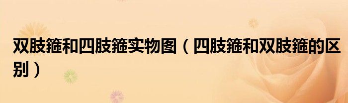 双肢箍和四肢箍实物图（四肢箍和双肢箍的区别）